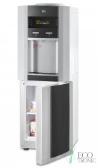 Ecotronic G2-LFPM carbon с холодильником компрессорный
